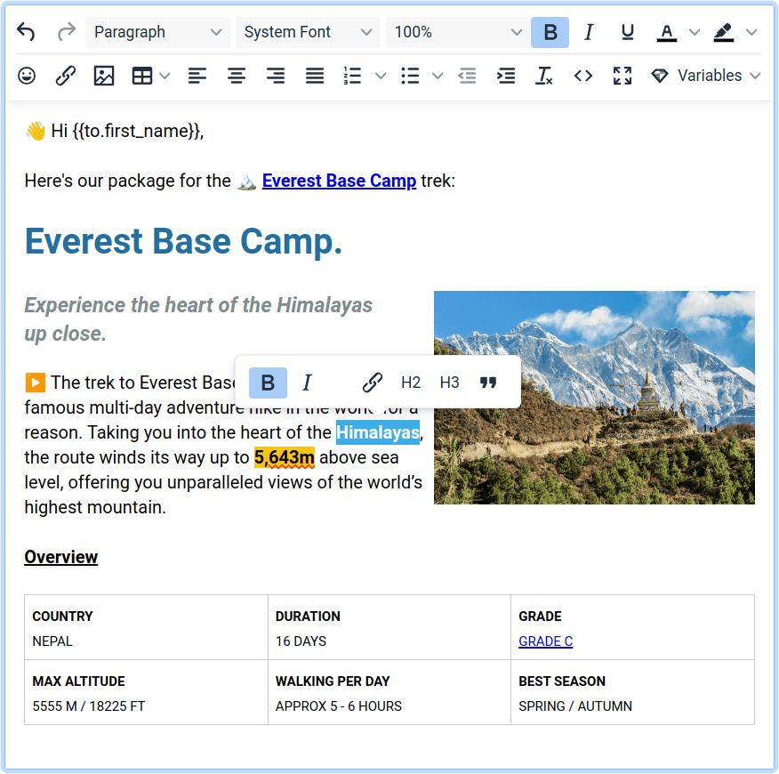 Briskine template editor showing a complex HTML email template.